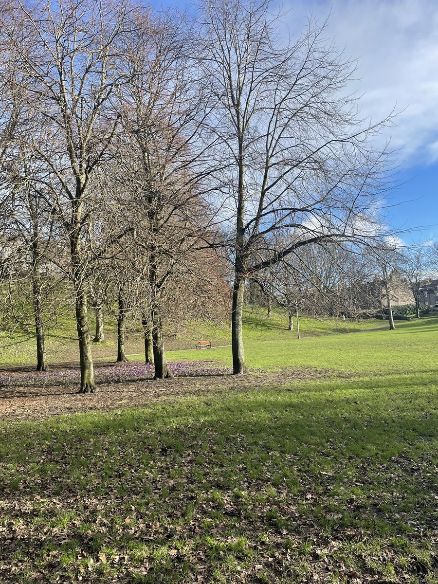 KevinStewartSNP's tweet image. The sun is shining on Aberdeen. Hallelujah!