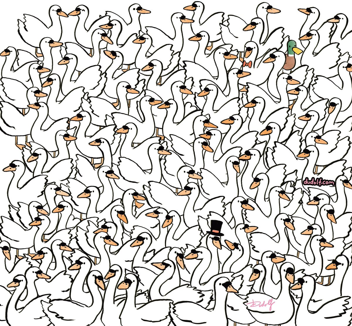 Can you find three hearts among the swans? 🤍🤍🤍

via <a href="/thedudolf/">Dudolf 🩵</a>