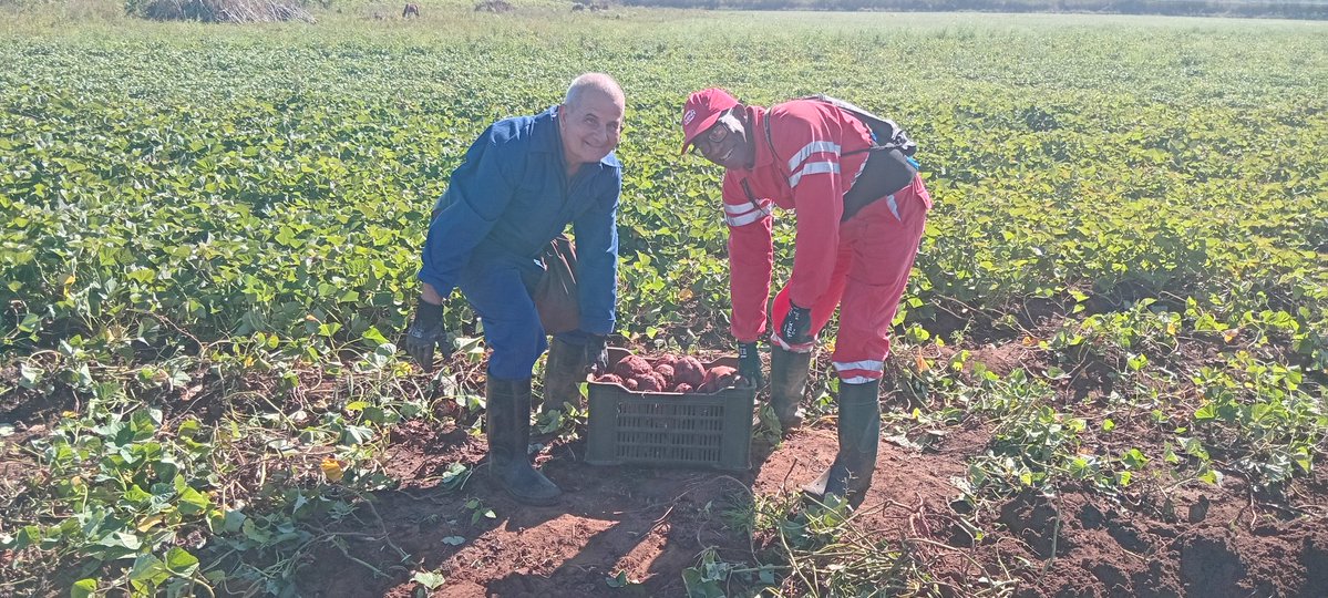 Es el regocijo hondo del que siembra y ve nacer, la certeza de que el sacrificio tenía sentido porque ahora hay comida para llevar a la mesa, para compartir, para seguir resistiendo. Allí, entre surco y cosecha, el cansancio se vuelve orgullo y la tierra, promesa cumplida.