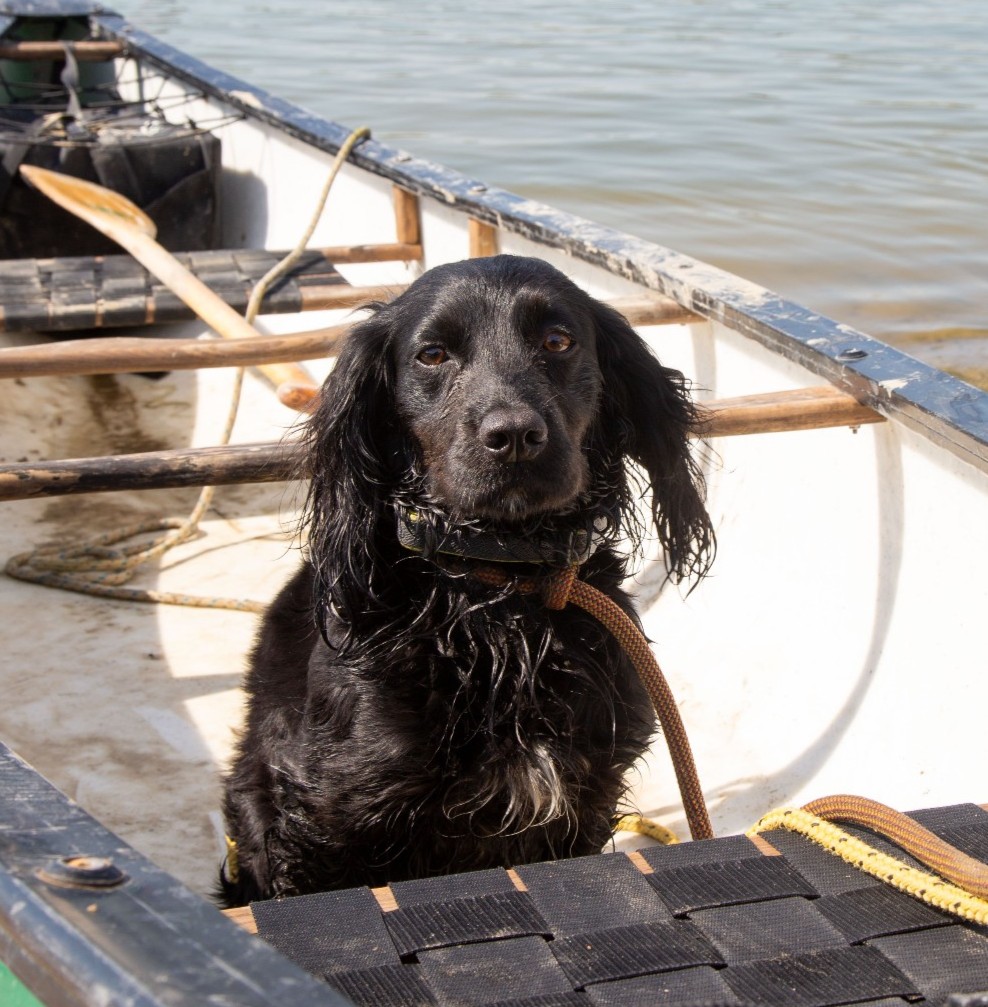 Buzz Active tweet media