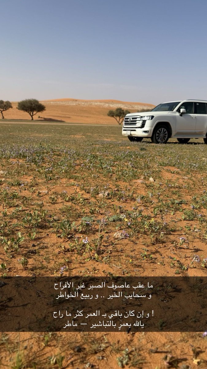 q1_abo's tweet photo. ديار مطير تزينت بالخزامى💜. https://t.co/WbW2YyxXGw