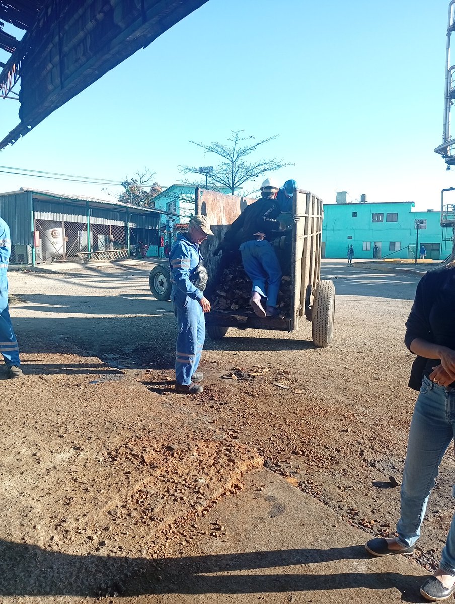 Se realiza cambio de labor de los trabajadores de la Refinería Sergio Soto en la mañana de hoy de limpieza,chapea y recogida de basura en las áreas 👏💪