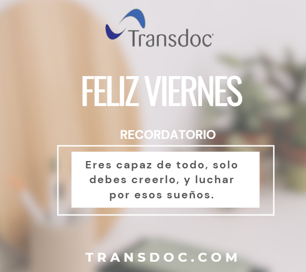 transdoctrabajos tweet media