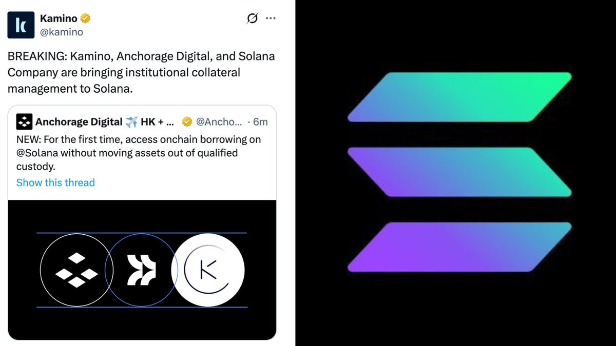 NEW: <a href="/kamino/">Kamino</a>, <a href="/Anchorage/">Anchorage Digital ✈️ HK + Denver</a>, AND <a href="/Solana_Company/">Solana Company (NASDAQ: $HSDT)</a> ARE BRINGING INSTITUTIONAL COLLATERAL MANAGEMENT TO SOLANA