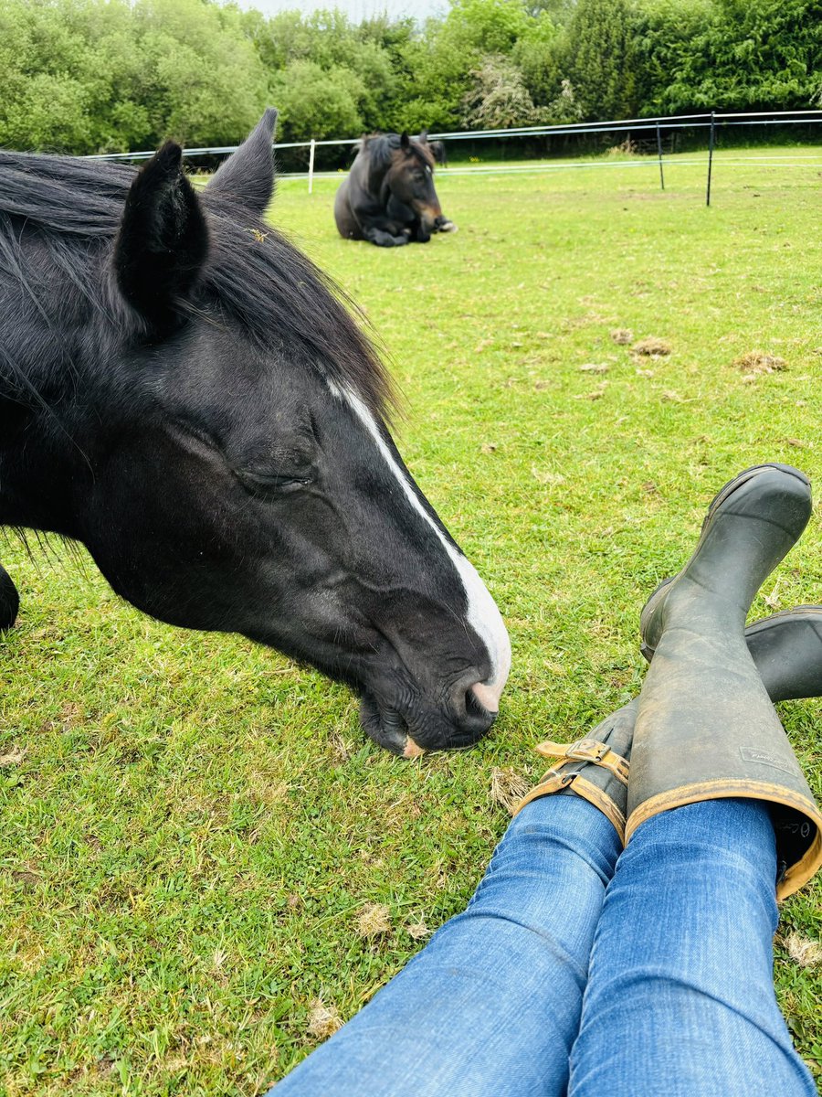 Dr Lucy Chalice Author tweet media