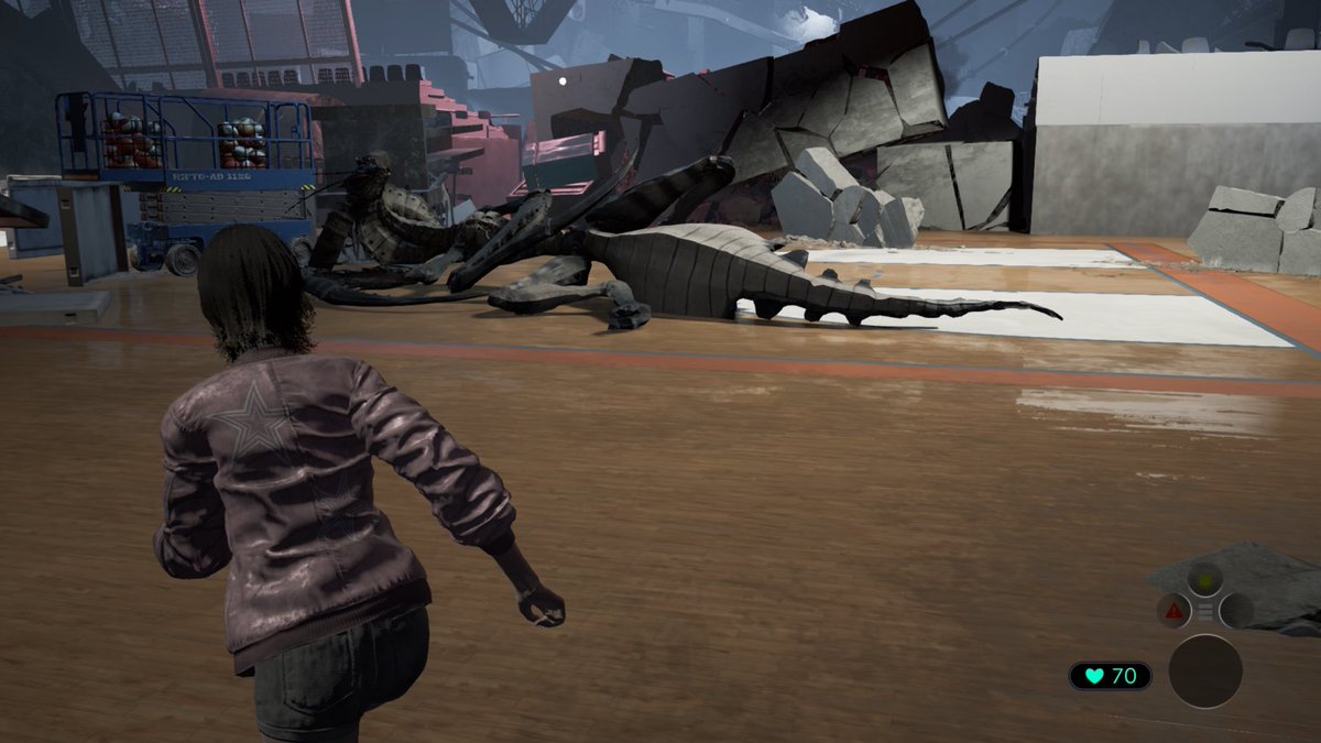 1207Linice's tweet image. 猫！
それとこいつも倒れるんや……

#TOKYOSCRAMBLE 
#NintendoSwitch2