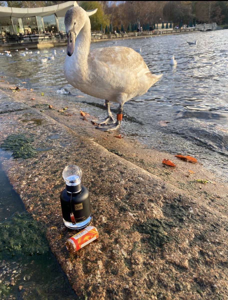 <a href="/0t_______/">🇸🇦</a>