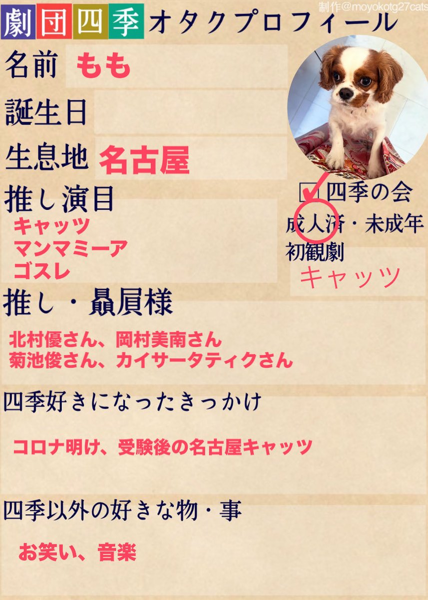 momo_2772's tweet photo. よろしくお願いします🤍
こちらモヨコ様からお借りしました
@moyokotg27cats https://t.co/jztvtnavFq
