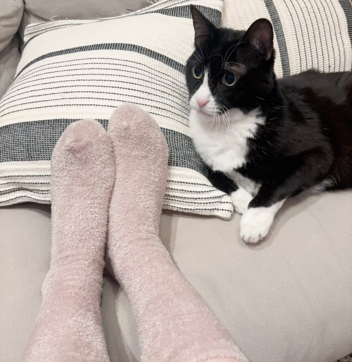 o7__lc's tweet image. 