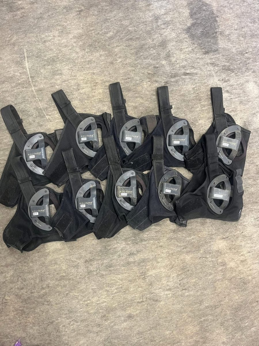 Equilume tweet media