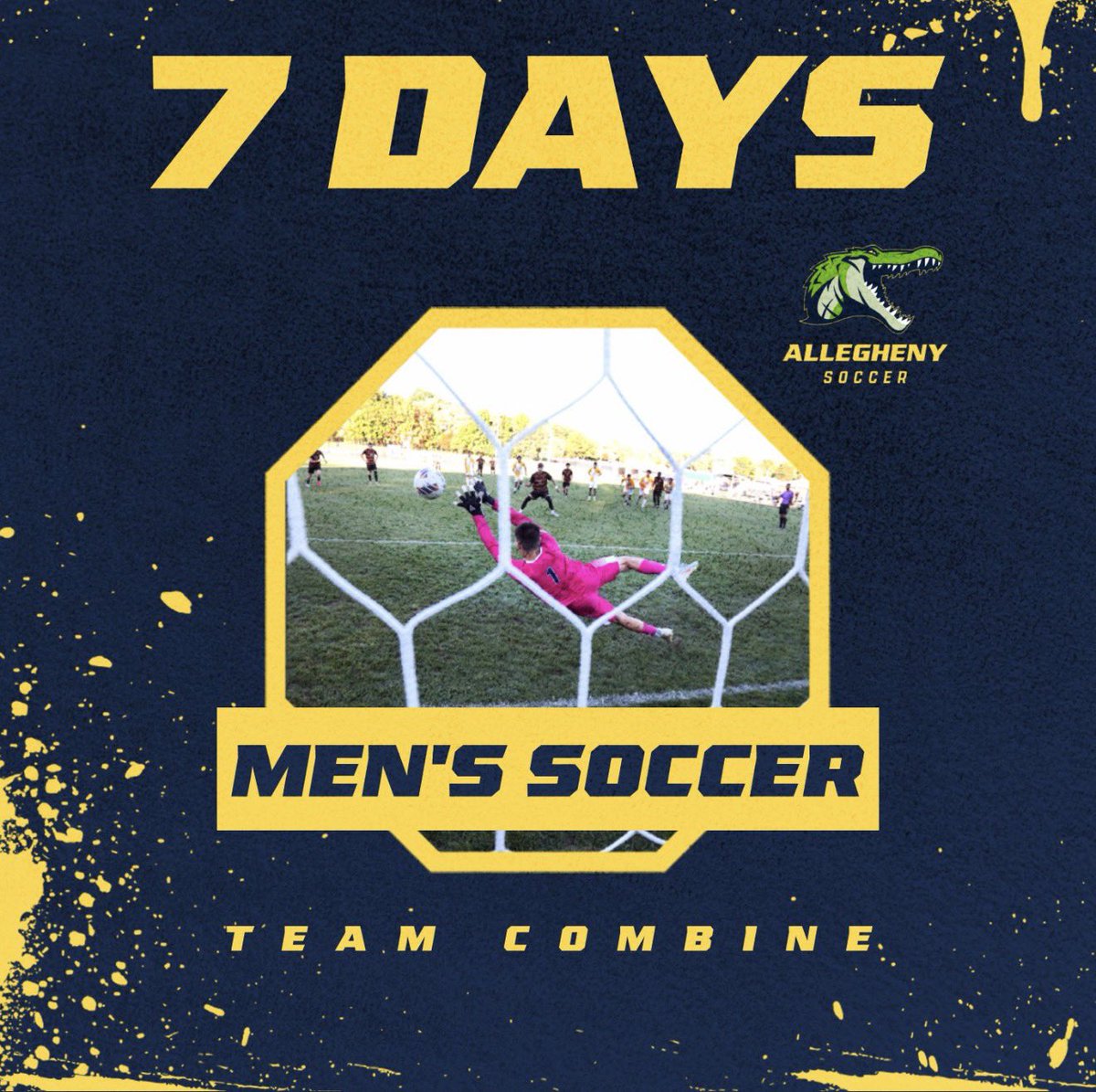 Stayed Tuned Gators! 👀 

Our current men’s soccer players will be competing against each other in an NFL-style athletics combine a week from today! 

We’re looking forward to showcasing all the hard work your Gators have put in the weight room so far this semester! 🐊⚽️