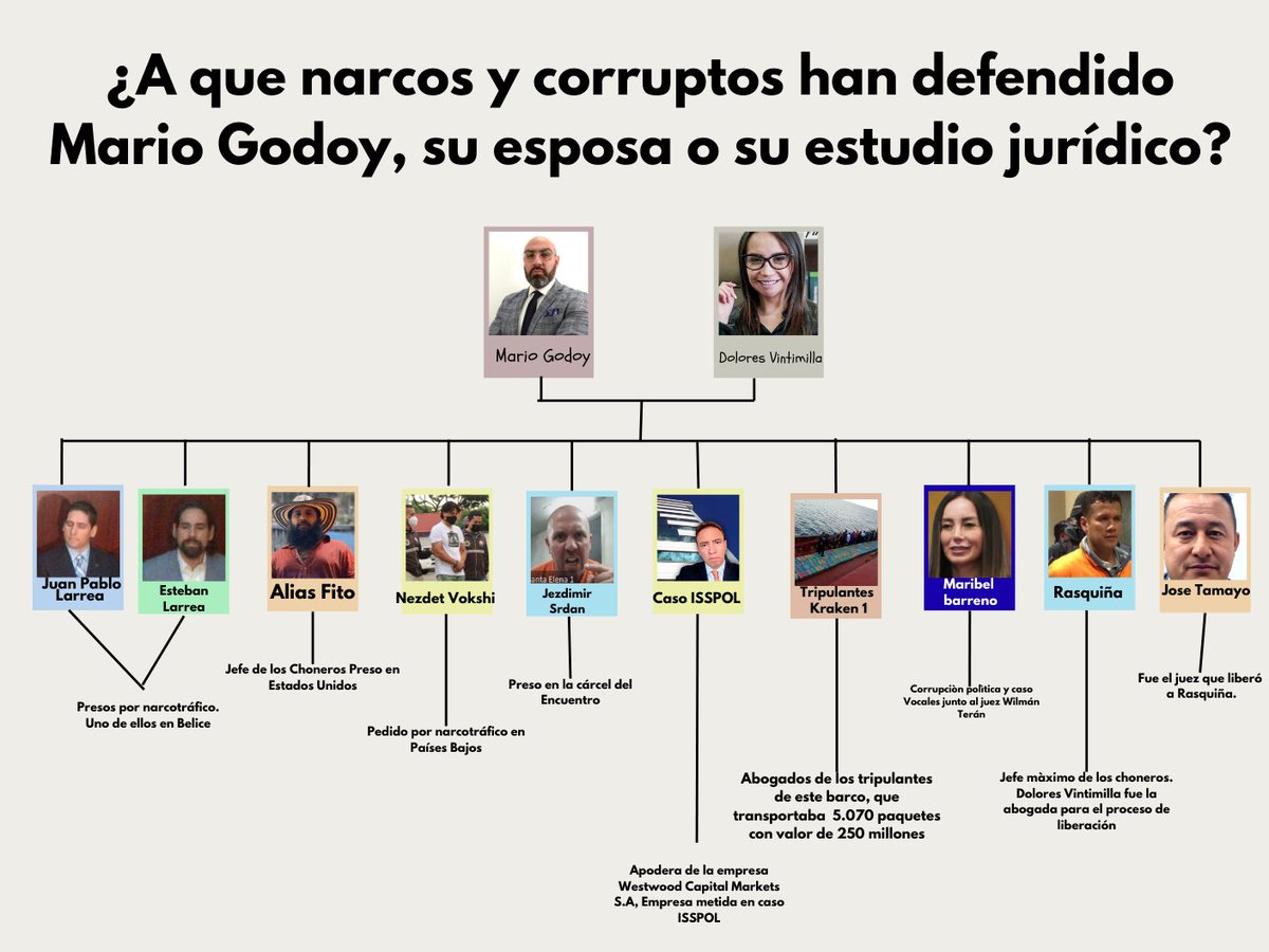 Godoy defendió a los hermanos Larrea, presos en diferentes lugares por narcotráfico. Su actual esposa,  defendió a a muchas de las mafias del país como abogada.
Estos son los casos más sonados: