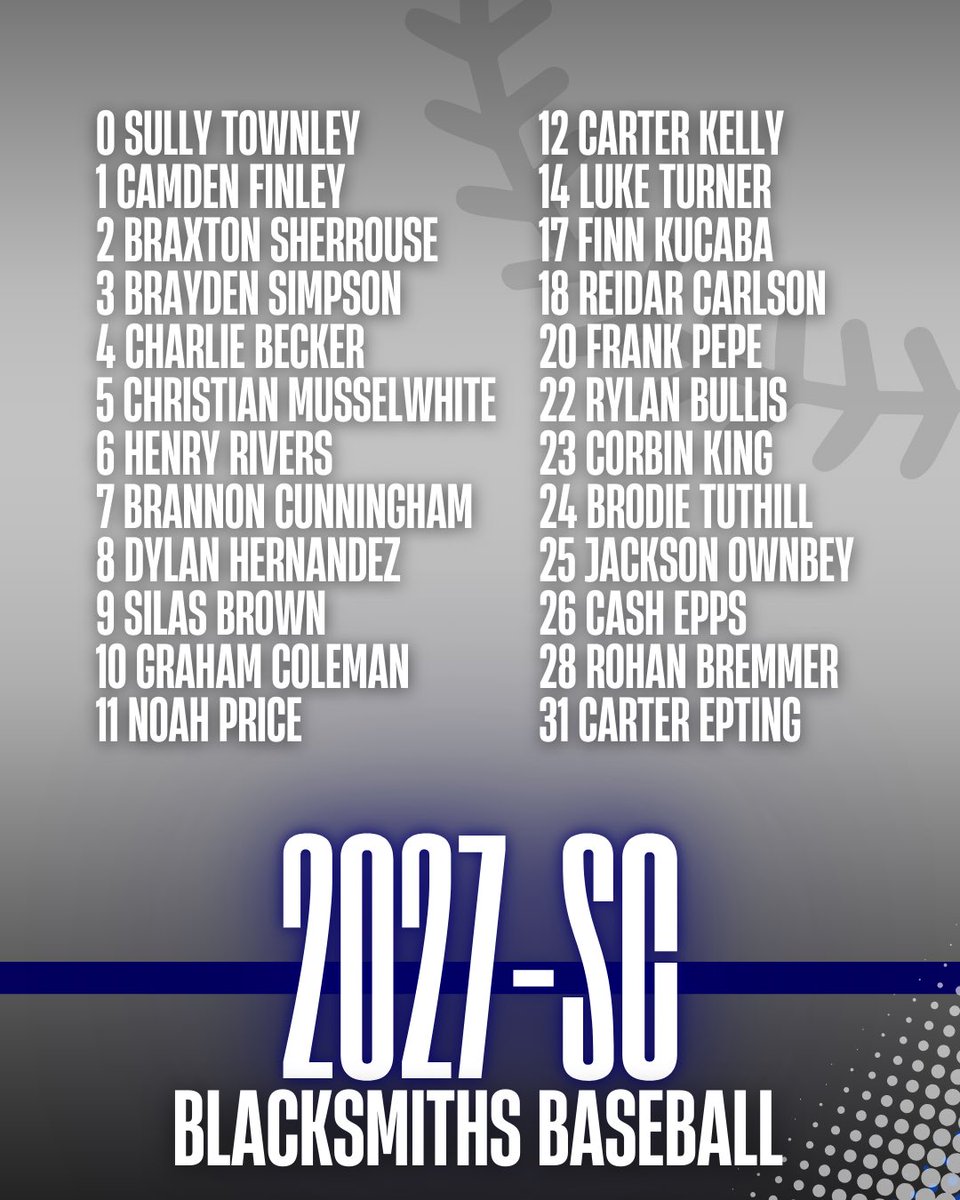 Palmetto Blacksmiths Baseball tweet media