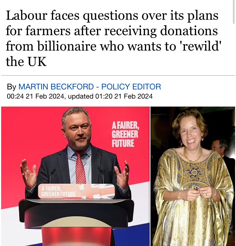 Charlotte Gill tweet media