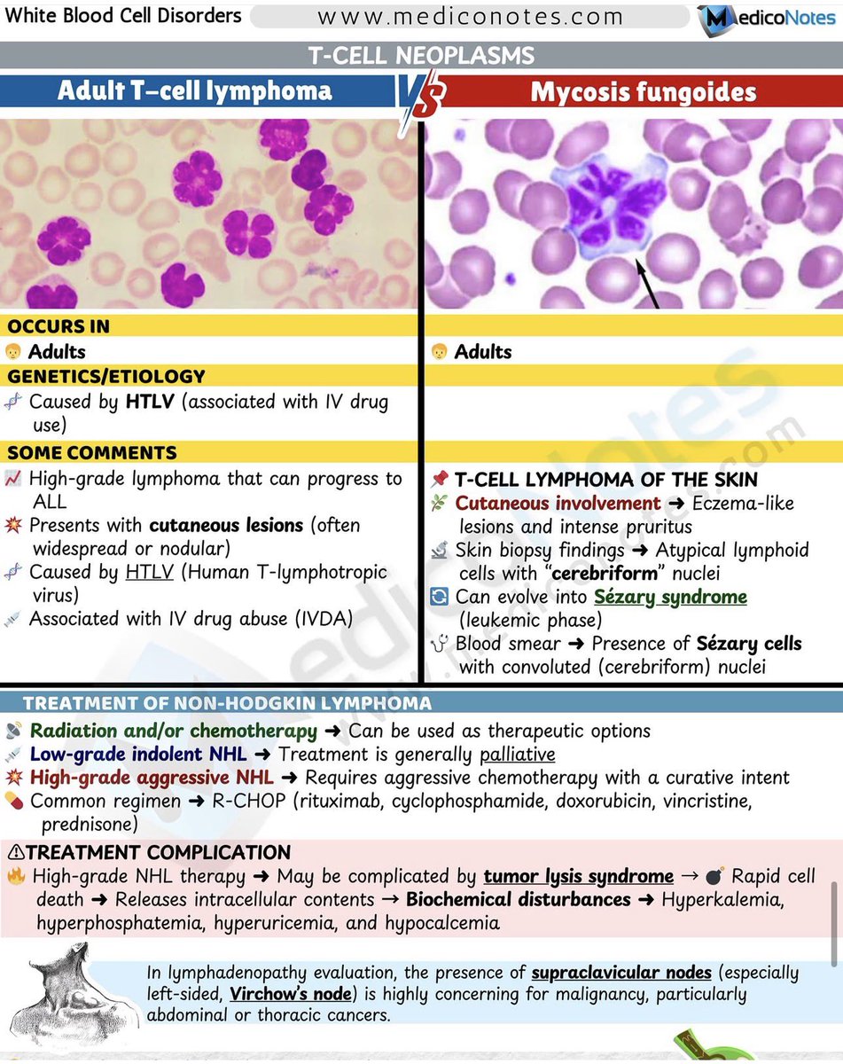 MedicoNotes tweet media