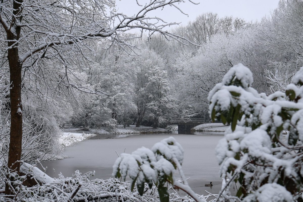 Mélarno Kraan tweet media