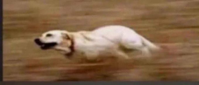 If you text a 30+ woman “I miss you” at night, there is a 95% chance she will reply:

“Come and carry me then.”

No long talk. Just straight to the point and logistics.

Date a 30+ woman today.