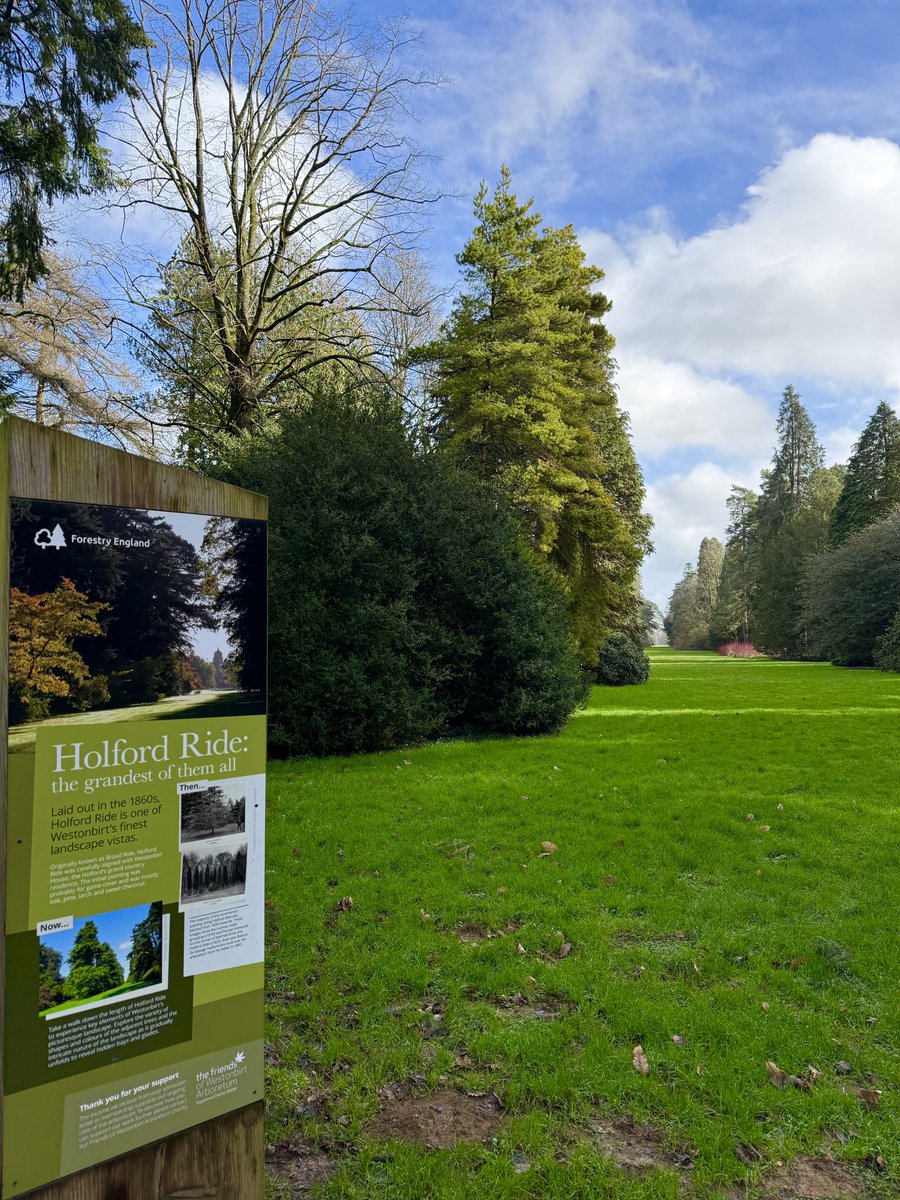 Nick Sigley tweet media