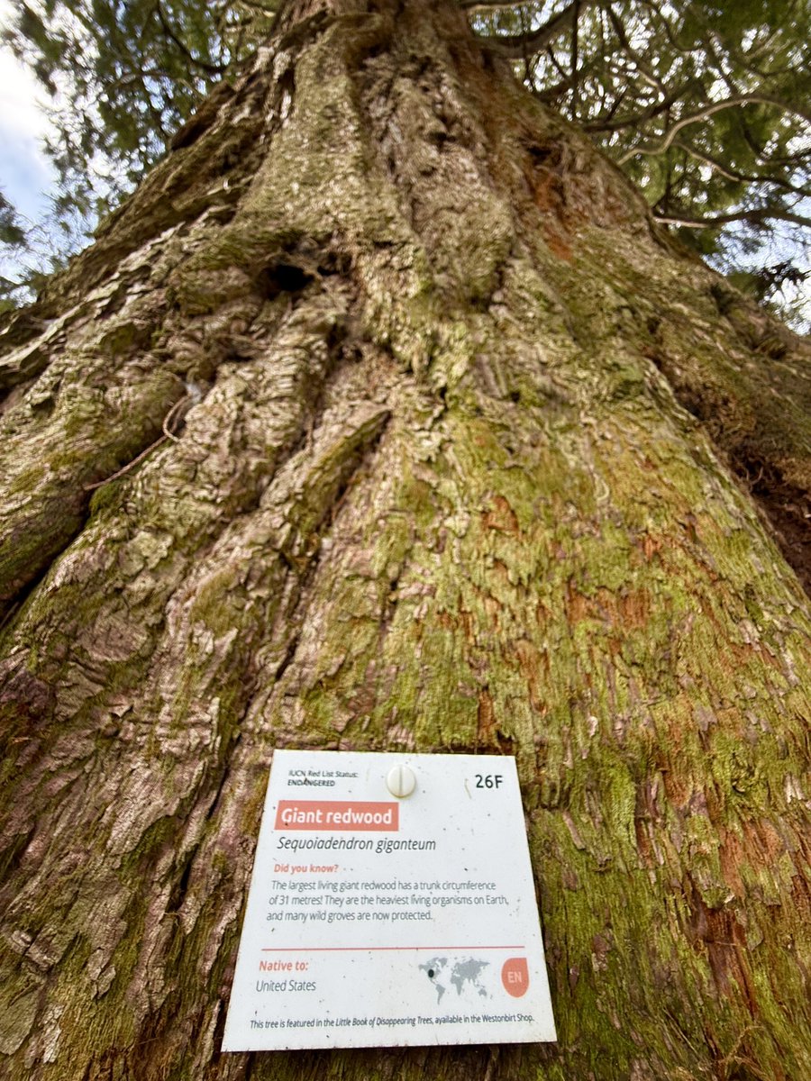 Nick Sigley tweet media