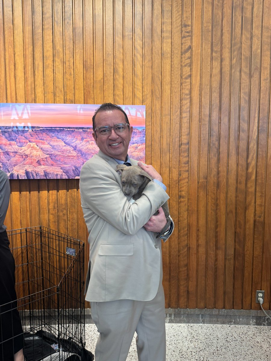 Arizona Humane Society tweet media