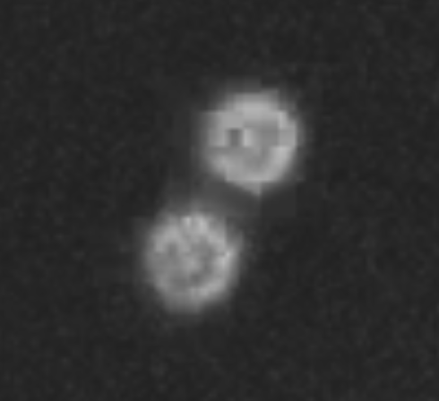 [X] @BillyKryzak - Bugün iki Barbell türü UAP gözlemlendi. Bu tür fenomenlerin uçuş sırasında döndü