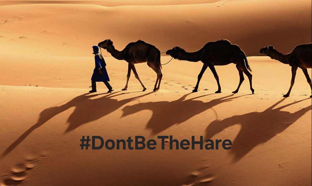 "Learn to master the long game because the short wins are distractions. Real power lies in making moves no one sees coming."

#DontBeTheHare