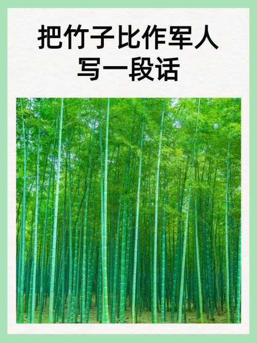 VPN加速器 tweet media