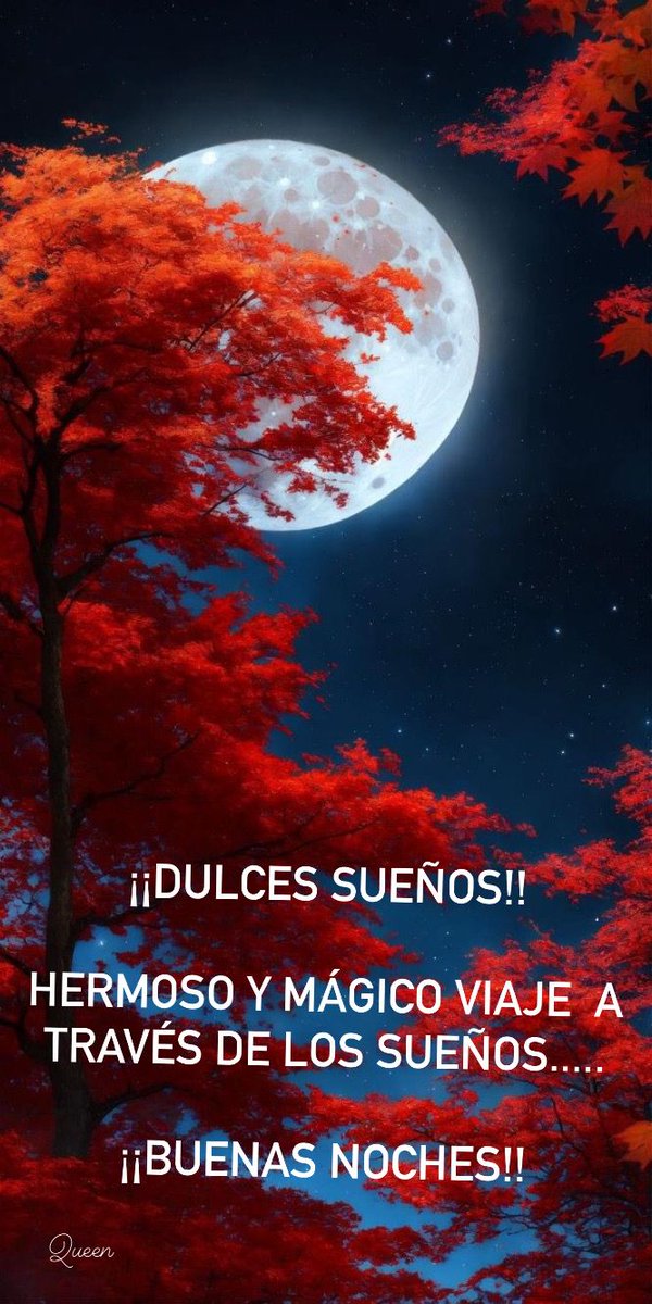 Bona nit.