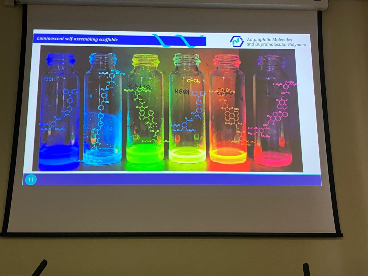 MatMolToledo tweet media