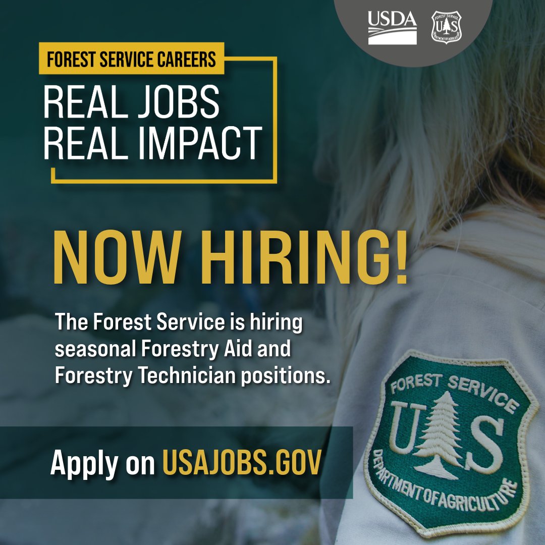 Spend your summer outdoors with us! We are hiring seasonal positions at Allegheny National Forest.
If you love the outdoors and want hands-on experience in forest management, a seasonal job could be a great fit.
Apply through USAJOBS.gov beginning February 20, 2026.
