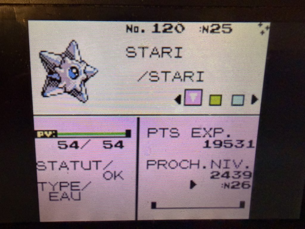 Et déjà un autre shiny mais cette fois ci un incroyable Stari shiny sur Rouge sur la phase 2 d’hypotrempe ! 
Trouvé en 10 395 pêches ! 
Sur cristal il est magnifique ! 
On va faire une phase 3 mais pas maintenant. 

#SHLS13