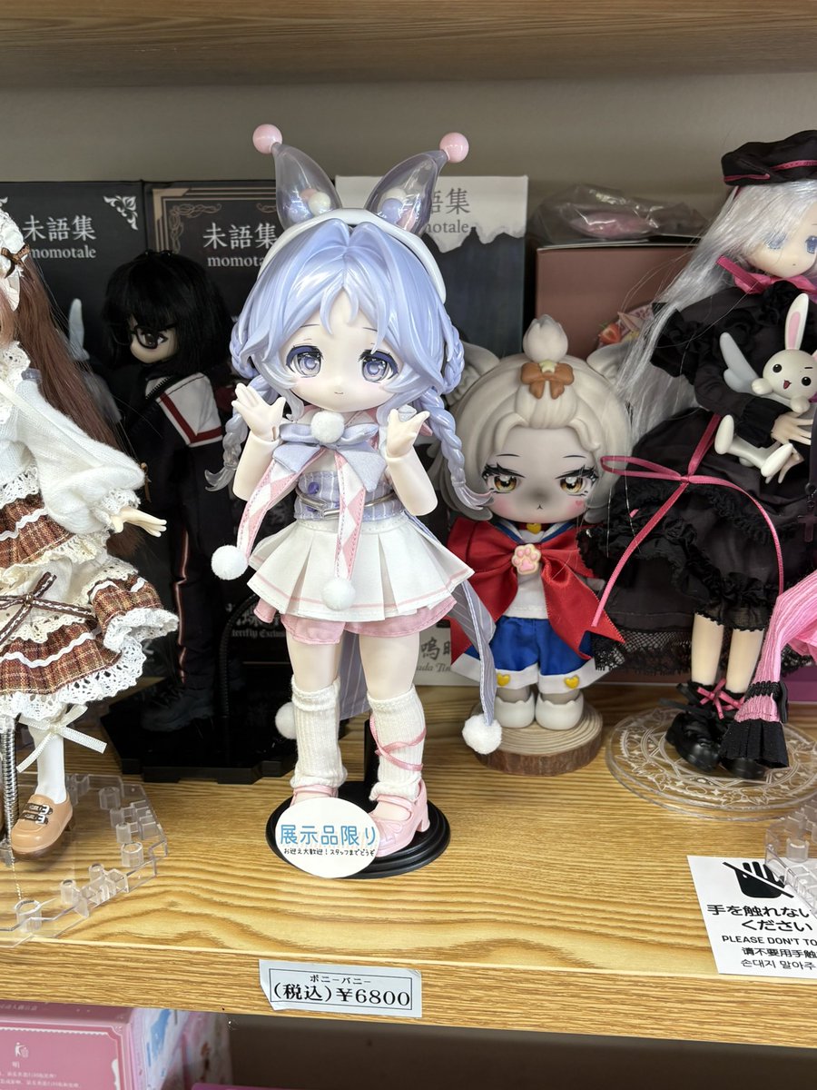 そういえば昨日はカカプラネット名古屋店さんにお邪魔してました。
お写真許可一応確認して撮った直後に、ボニバニ6ちゃんお迎えされてておもしろかった。