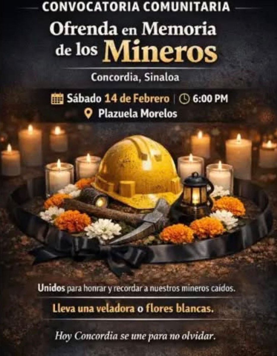 WIM México tweet media