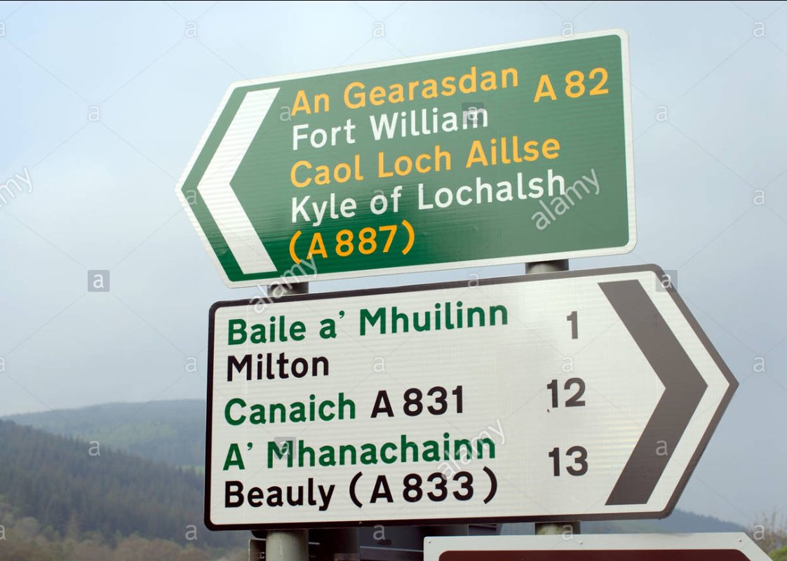 Dr P Buddy tweet media