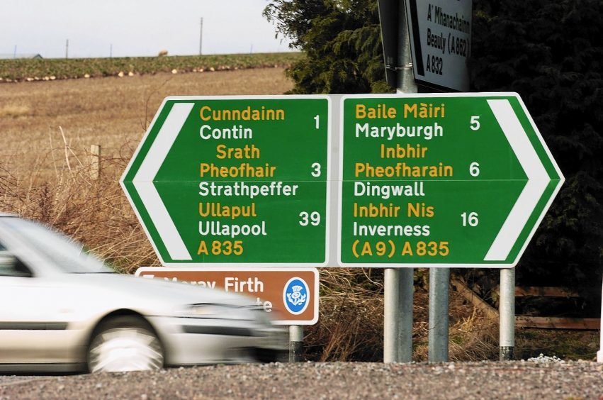 Dr P Buddy tweet media