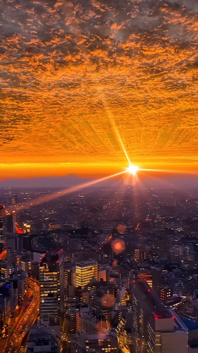 Mel | Querying Author tweet media