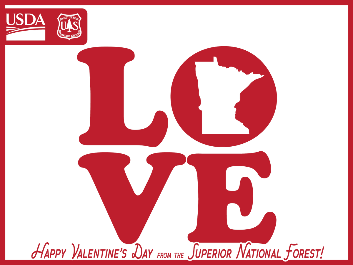 SuperiorNF tweet media