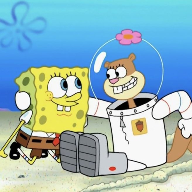 ౨ৎ 🧽 tweet media