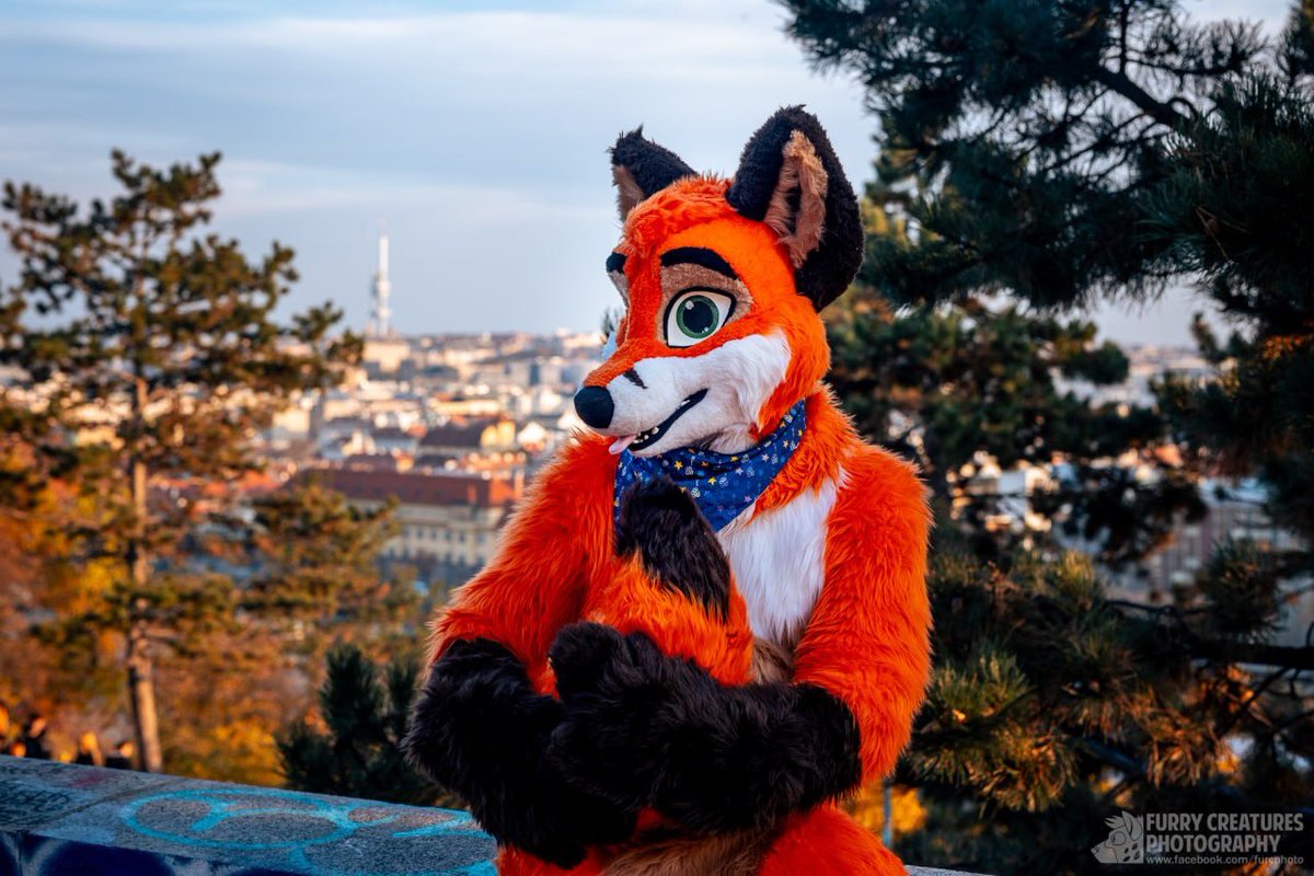 Fly JetFox - 🦊 ✈️🇦🇺🇨🇿 tweet media