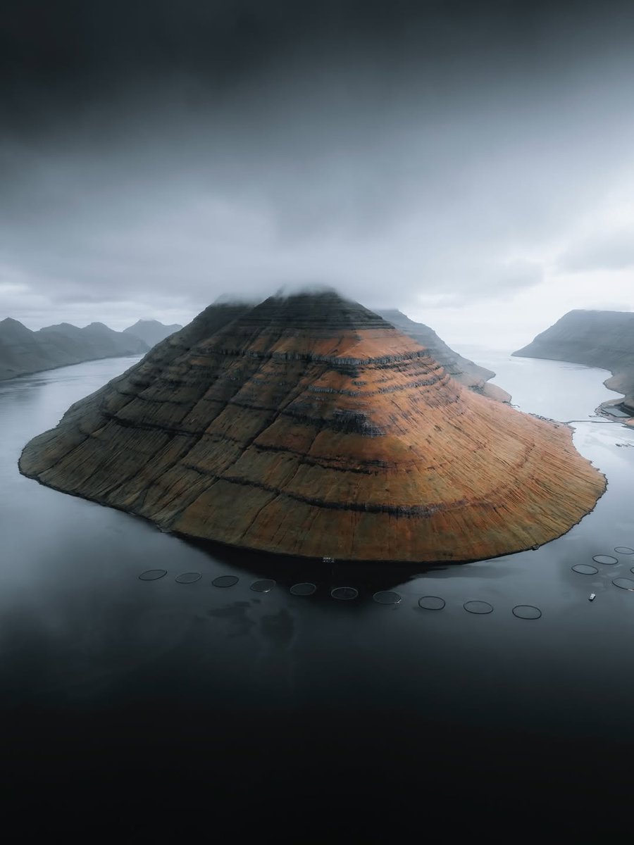 𝘄𝗮𝗻𝗱𝗲𝗿𝘁𝗿𝗮𝘃𝗲𝗹𝘀 tweet media