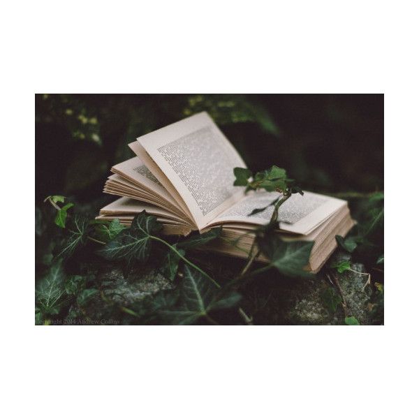 𝓛udmila. tweet media