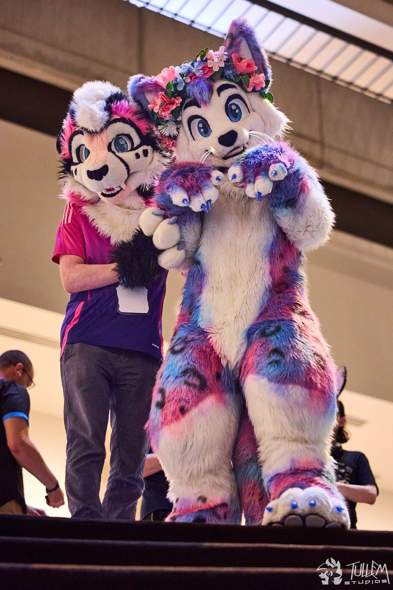 MEOW MEOW MEOW MEOW MEOW MEOW! (mow mow mrow)

📸: <a href="/tullembrat/">Tullem 🔜 NFC</a> 
🌌: <a href="/Astra_The_Kitty/">Astra</a> 
#FursuitFriday