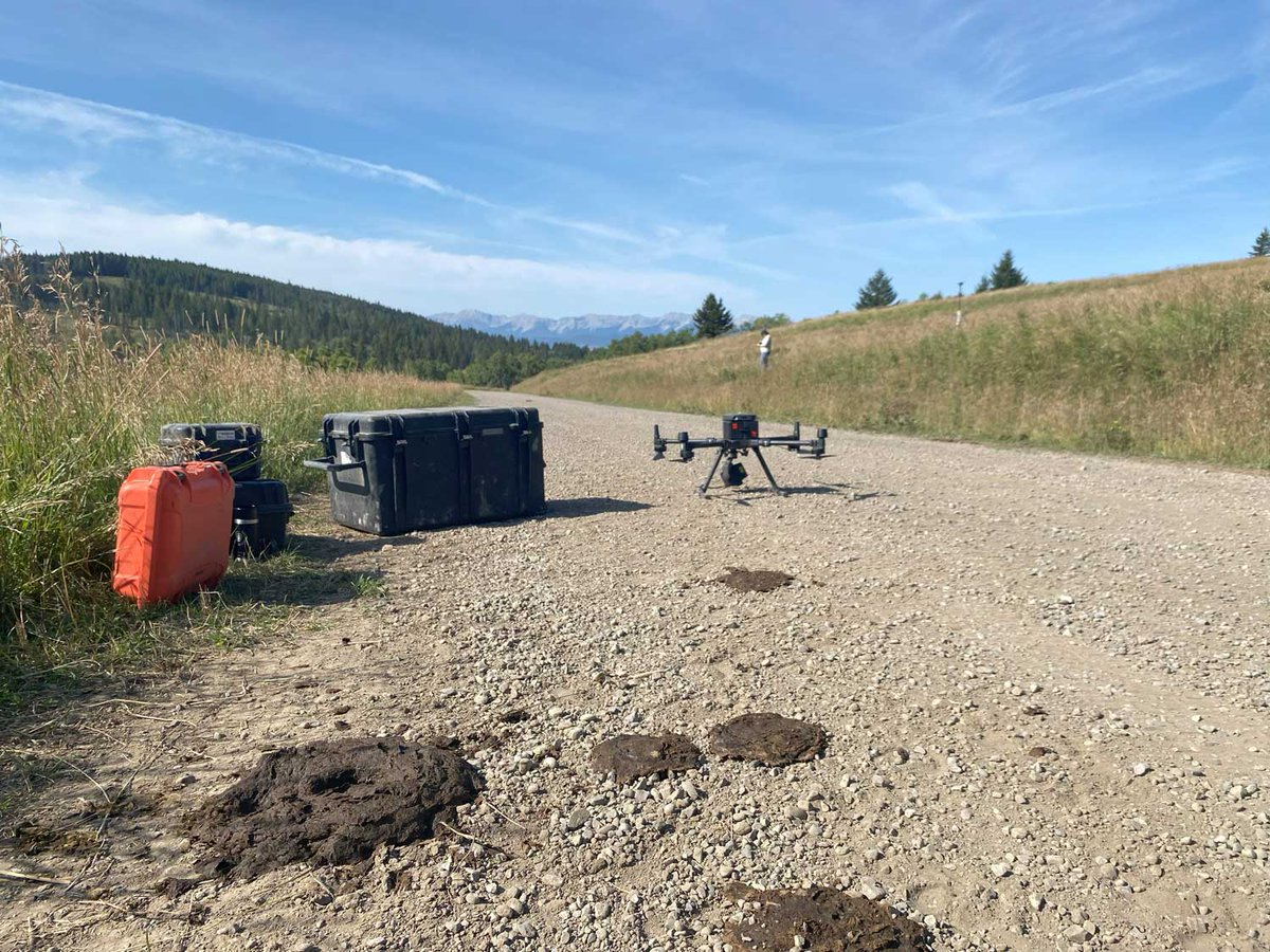 fRI Research tweet media