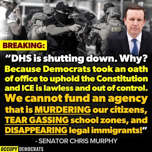 Poppy 💫🇦🇺☮🍅🥒🥕🥭🍊🍋 (@trevor_allan_1) on Twitter photo 