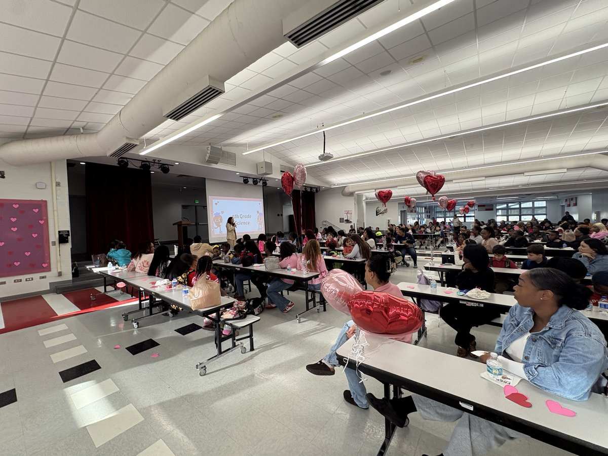 Bristol Bush tweet media