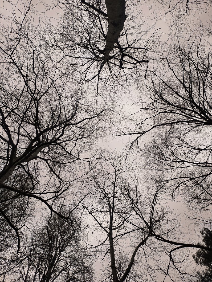 Gökyüzüne ağ
Damar damar!