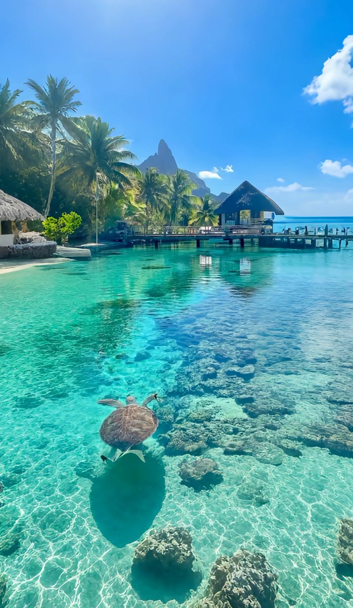 mna_iiss's tweet image. Mais si ce monde ressemble à ça, à quoi ressemble au paradis Soubhana Llāh ?!