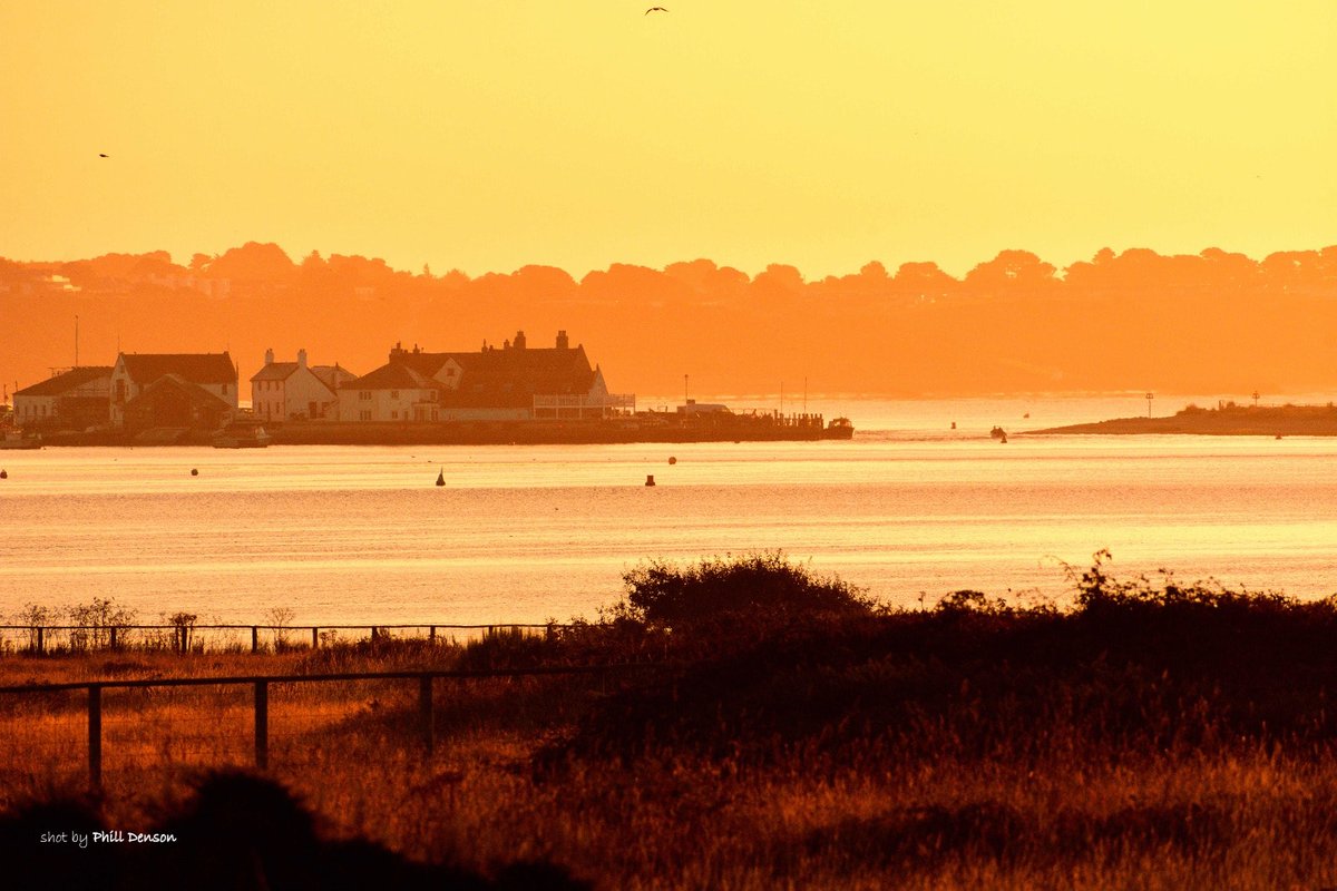 Phill Denson tweet media