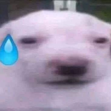 Mits. 🎨 tweet media