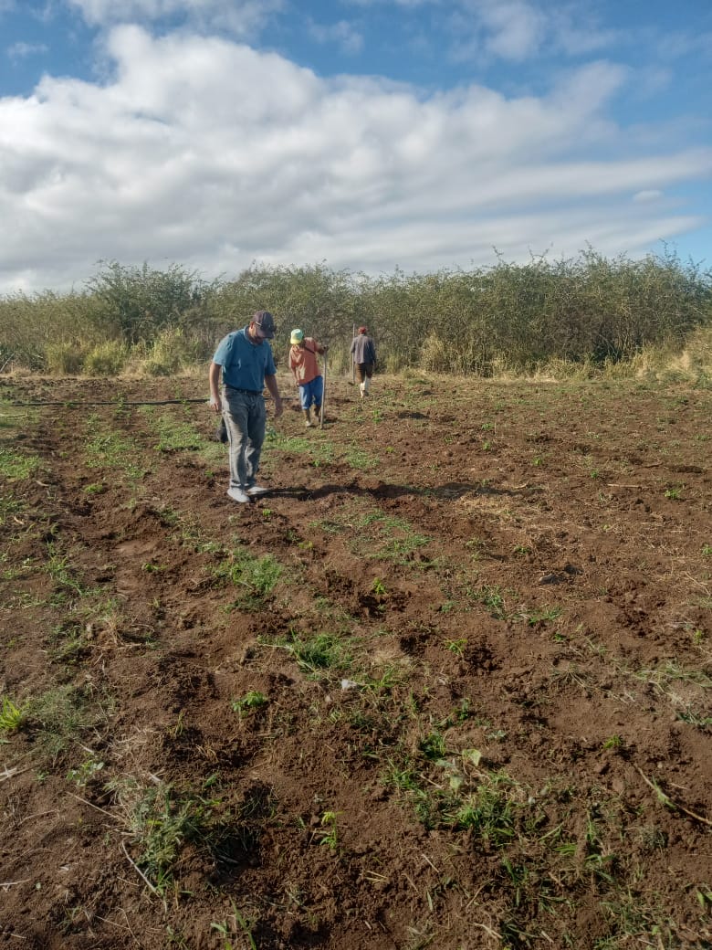 Estamos de siembra en nuestro autoconsumo. 
#SiSePuede #Tunas
#LasTunasPorLaSalud
<a href="/DiazCanelB/">Miguel Díaz-Canel Bermúdez</a> 
<a href="/DrRobertoMOjeda/">Dr. Roberto Morales Ojeda</a> 
<a href="/PartidoPCC/">Partido Comunista de Cuba</a> 
<a href="/LorenzoOsbel/">Osbel Lorenzo</a> 
<a href="/YelenysLasTunas/">Yelenys Tornet Menéndez</a>